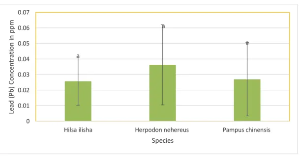 Figure 6: Lead Concentration in Different Marine Fish Species. 