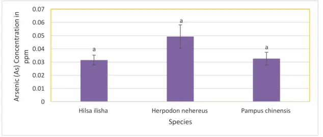 Figure 8: Arsenic Concentration in Different Marine Fish Species. 