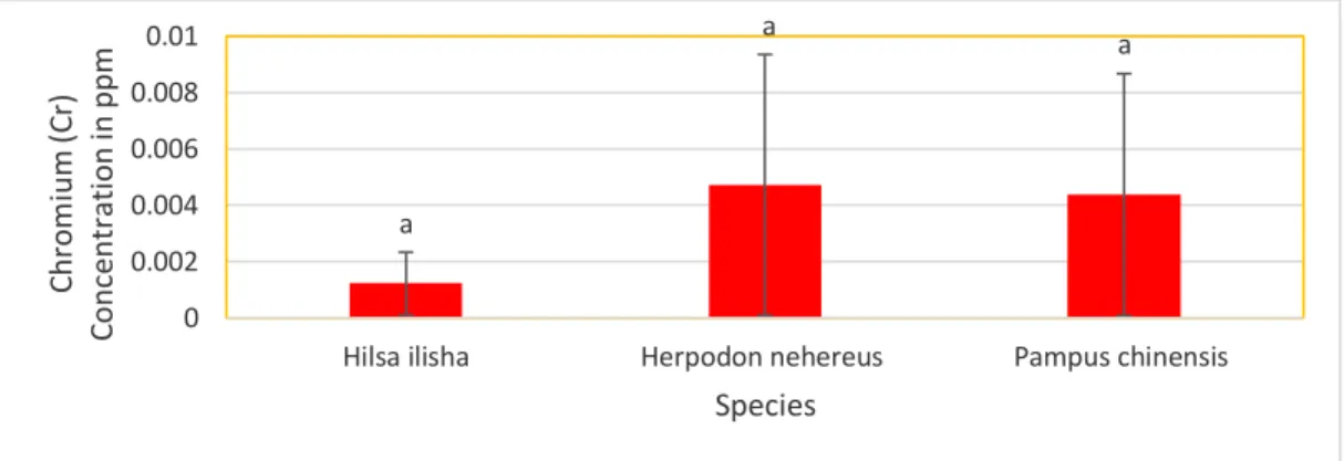Figure 7: Chromium Concentration in Different Fish Species. 