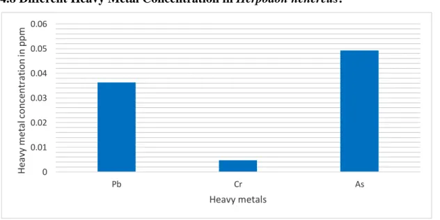 Figure 10: Different Heavy Metals Concentration in Herpodon nehereus 