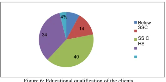 Figure 6: Educational qualification of the clients