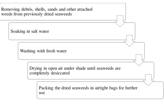 Figure 2. Seaweed processing flow chart  3.3 Collection of raw materials for feed 