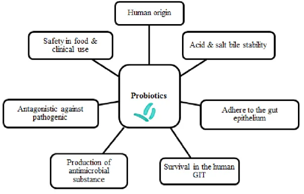 Figure 2. Various features of probiotics 
