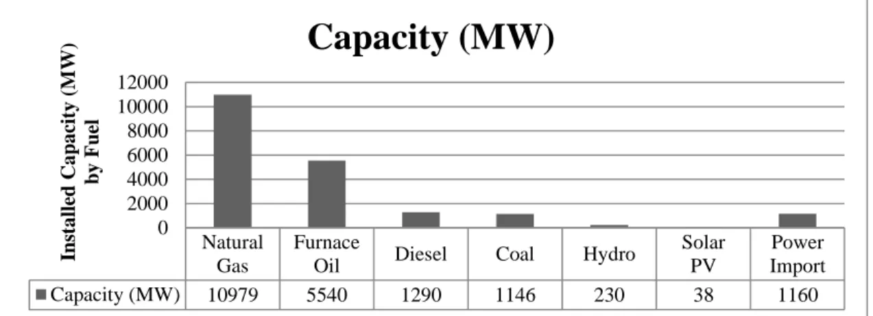 Figure 3.4 Installed Capacity of Power Plant by Fuel 