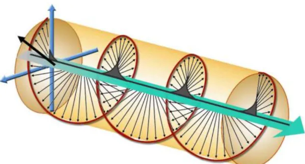 Fig 1.7: Circularly polarized light changes the direction of its polarization as it  moves 