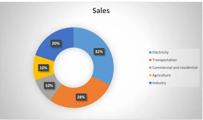 Figure 1.3: Sectors, where use fuels. 