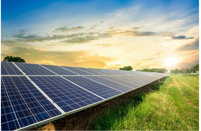 Figure 3.1: PV module of solar plant or solar system. 