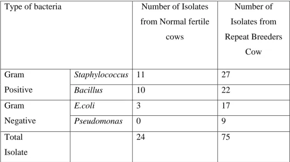Table 5.  Different  types  of bacteria isolated from sample of normal  fertile cows and  RB cows 