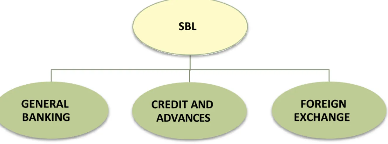 Fig 1: Different Departments of SBL 
