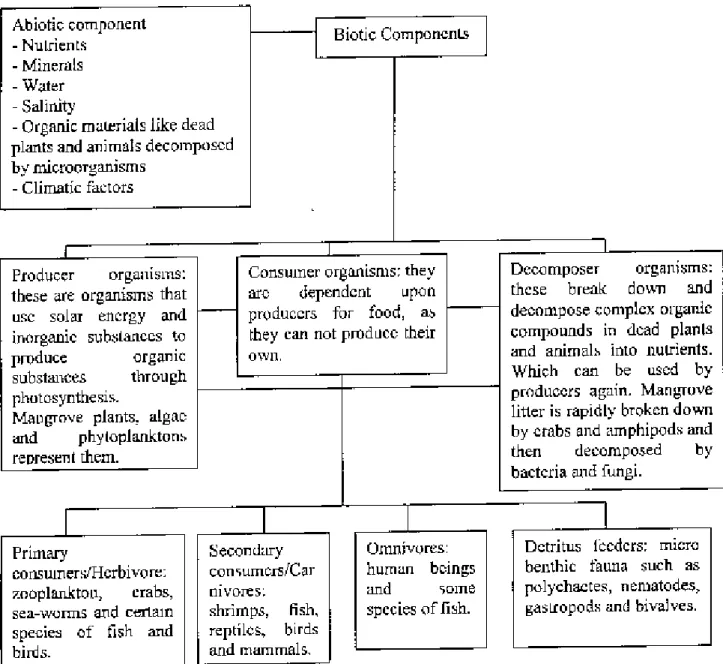 Figure 2.1: Components and sub-components of Sundarbans Mangroves Source: Sherina, 1999