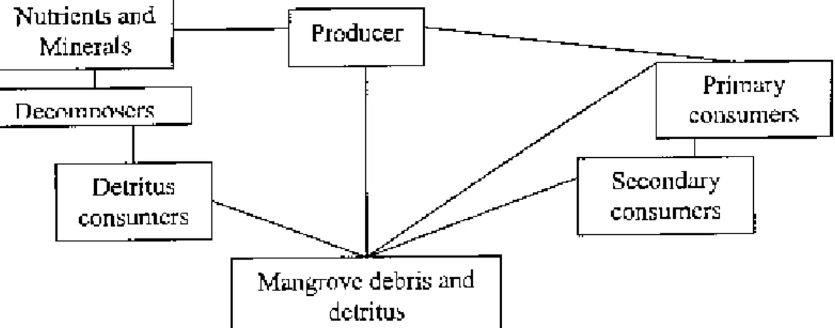 Figure 2.2: Pathway of the principal flow of energy Source: Sherin"" J 999