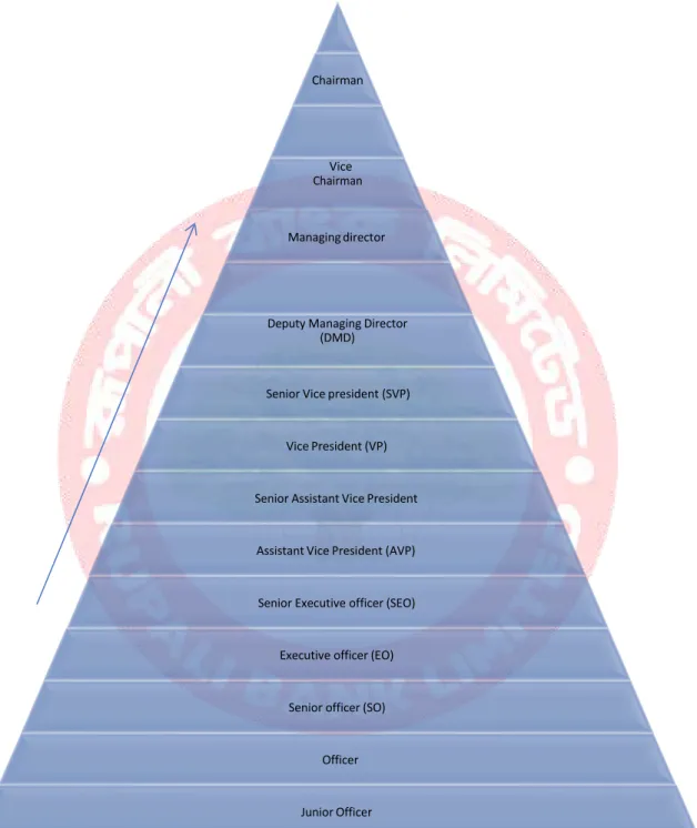 Figure 1 Organizational Hierarchy 