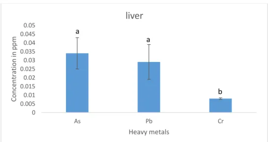 Figure 7: Different heavy metals concentration in kidney of cultured Tilapia  4.8 Different heavy metals concentration in muscles of cultured Tilapia: 