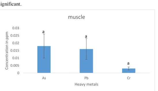 Figure 8: Different heavy metals concentration in muscle of cultured Tilapia