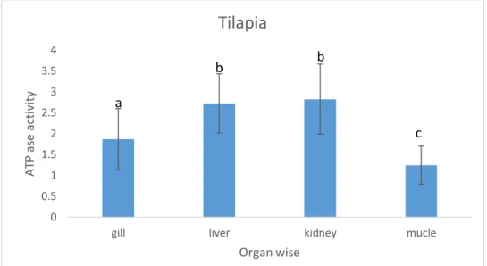 Figure  10:  ATPase  activity  as  µg  of  phosphorus  mg  protein -1   (37°C)  in  different  organs  of  cultured Tilapia 