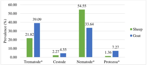 Figure 3: Prevalence of trematode, cestode, nematode and protozoa parasites in sheep  and goat 