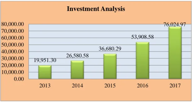Fig: Investment Analysis 