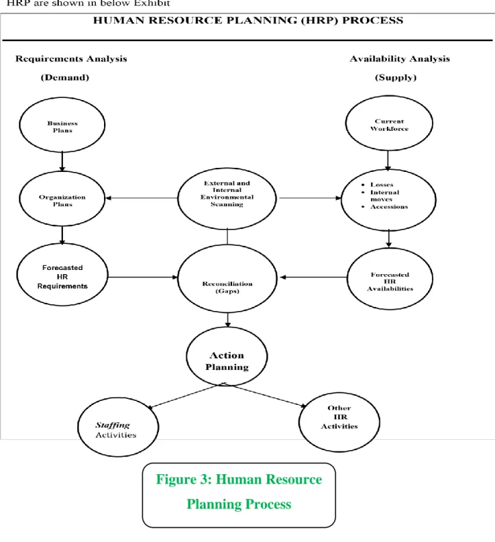 Figure 3: Human Resource  Planning Process 
