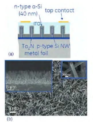 Figure 1.4 (a) Schematic of cross-sectional view, and (b) Scanning electron  micrograph plan view of the first silicon nanowire solar cell [51].