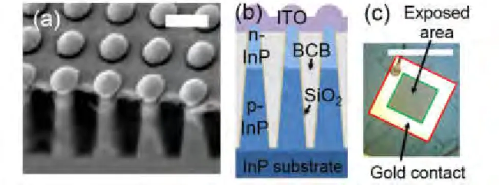 Figure 1.6 (a) SEM image, (b) Schematic image and (C) Macroscopic image of  Axial junction InP nanowire solar cell with 17.8% efficiency [20]
