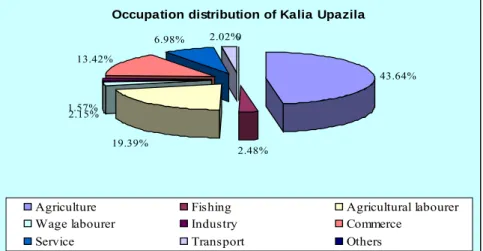 Figure 5.17: Occupation distribution of Kalia Upazila representing the study area 