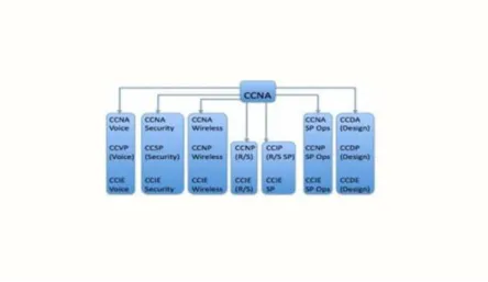 Figure 1. 1 : Reasons for choose CCNA [2] 