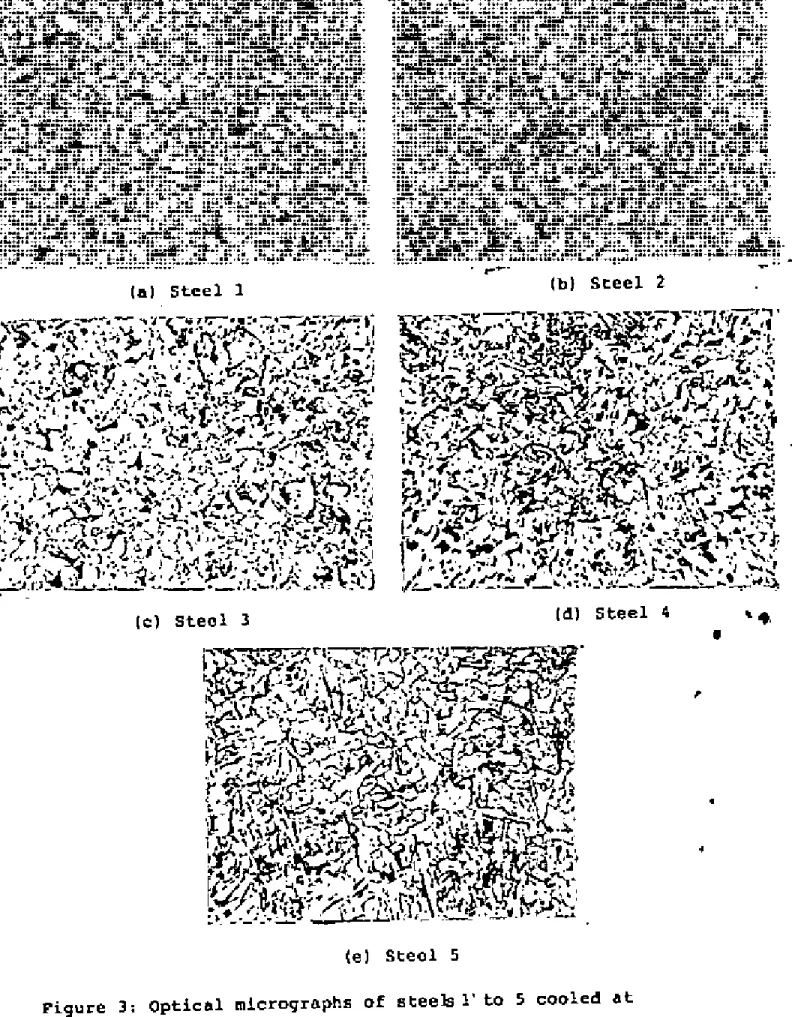 Figure 3: Optical micrographs of steels l' to 5 cooled lI.t 120 o C/min, X 230.