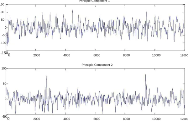 Fig. 4: Top two PCs after analyzing PCA over 29 channels. 