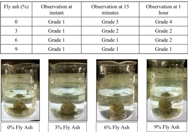 Table 4.10: Observation of Crumb Test for Various Percentages of Fly Ash Mixed  Sample 