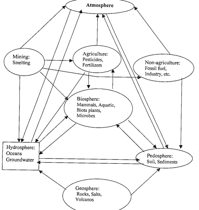 Figure 2.1: The environmental cycle of arsenic (after Bhumbla aud Keefer, 1994)