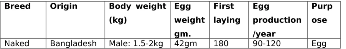 Table 4. Characteristics of different backyard chickens breeds                 available in Bangladesh: