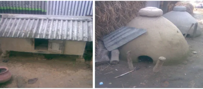 Fig. 2: Backyard poultry housing