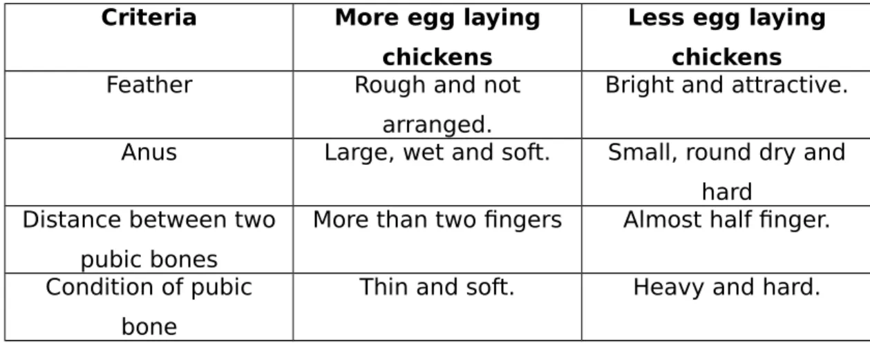 Fig. 3. Percentage of feed type that’s provides to the backyard chickens in studied areas