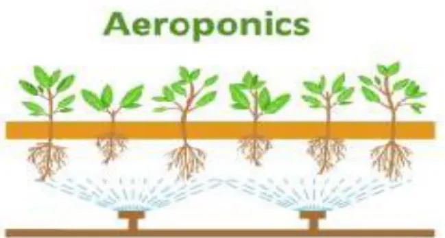 Fig 2.2: Aeroponics