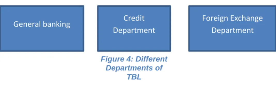 Figure 3: Different  Departments of TBL
