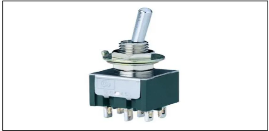 Fig 2.8: A Toggle Switch. 