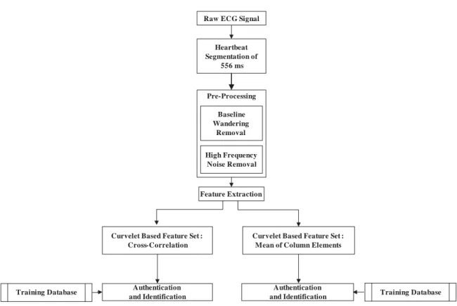Fig. 4.1:  (a) A flow chart of curvelet based feature extraction  scheme 