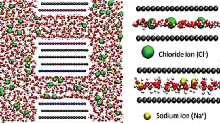 Fig 2. 1. Two-dimensional schematic of simulation box with yellow Na +  ions, green Cl -  ions,  red and white water molecules, black neutral carbons, blue positively charged carbons, and 