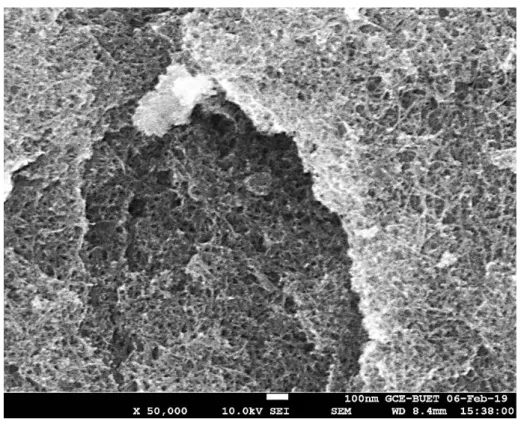 Fig 5. 1 : SEM image of expected rGO-MnO 2  nanocomposite (a) 30,000 magnification and  (b) 50,000 magnification