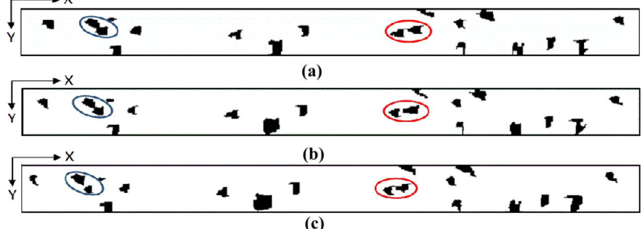 Figure 2.9: Section of the scaled version of multiple TSIs generated from MVDLs. (a)TSI 1 ,  (b)TSI 2 ,   (c)TSI 3 