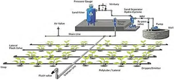 Figure 1.1 A typical drip irrigation system slightly modified from Netafim (2014). 