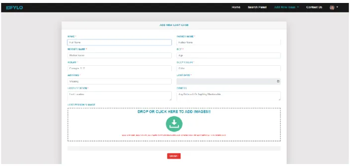 Figure 4.3.6:  lost issue page 