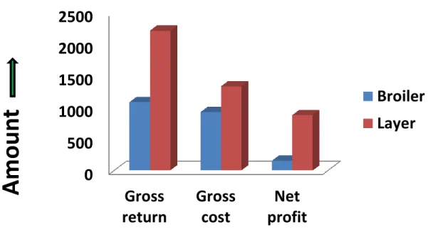 Figure 3.2: Gross return, gross cost and net profit of per broiler and layer. 
