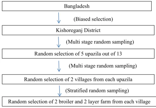 Figure 2.3:  The scheme of sampling methods used in current study. 