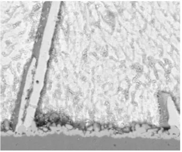 Figure 1.5 Example of a  Cu 3 Sn  interfacial IMC of a SAC alloy BGA solder joint on  OSP board [10] 