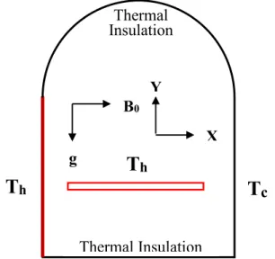 Figure 3.1: Schematic view of the cavity with boundary conditions 