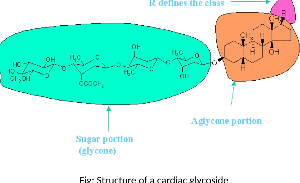 Fig: Structure of a cardiac glycoside