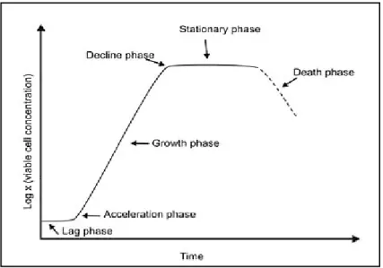 Figure 1: Microalgae growth curve (Teresa et al., 2010) 