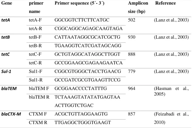 TABLE 3.1 The Primer sequences for the polymerase chain reaction (PCR) used  to identify genes for antibiotic resistance 