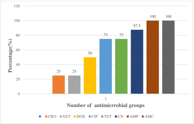 Figure 4.1: The antimicrobial resistance pattern of Salmonella isolates [n = 8] 